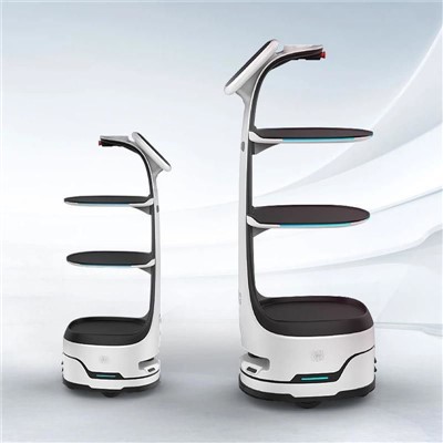 service robot for exhibition display